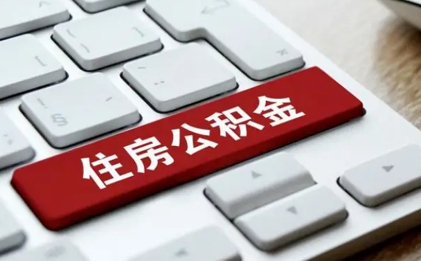 枣阳黄牛是怎么取公积金的（枣阳黄牛取公积金收多少手续费）